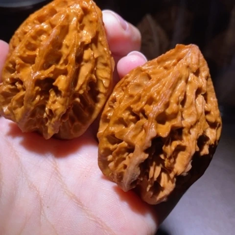 把件文玩核桃东北野生楸子小园 223