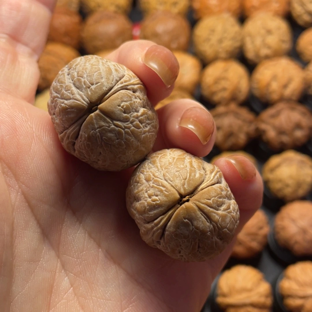 明***^文玩核桃把件核桃