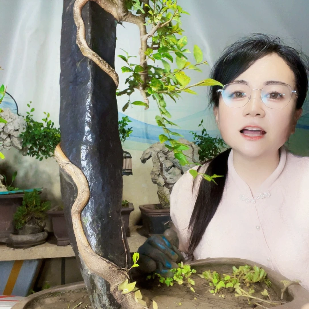 醇***香直播间不见不散来看看