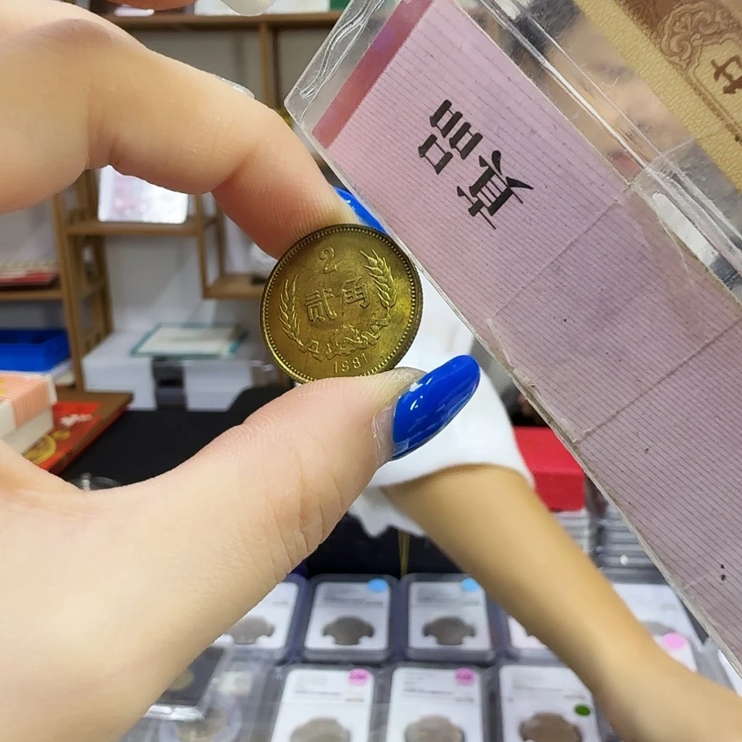 其他普通金属81贰角1枚155米
