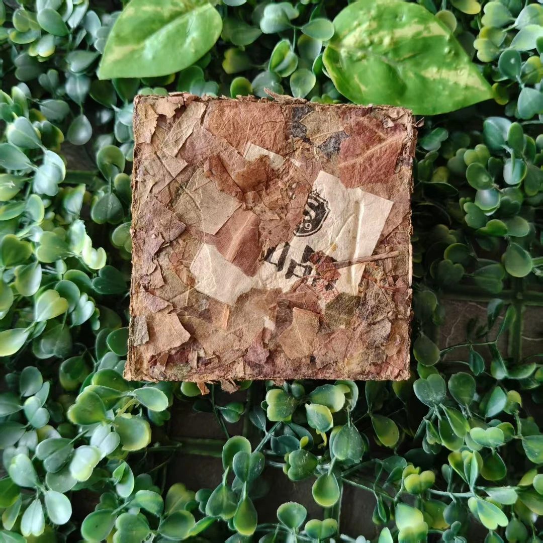 雨腾古茶  “JMX叶”陆地SX生M叶“化X为Y”200g/砖（6月1）