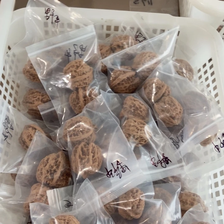 吊坠文玩核桃野牛瑕疵