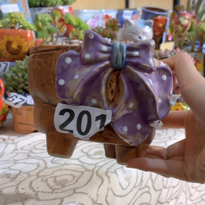 多肉花盆满15包邮