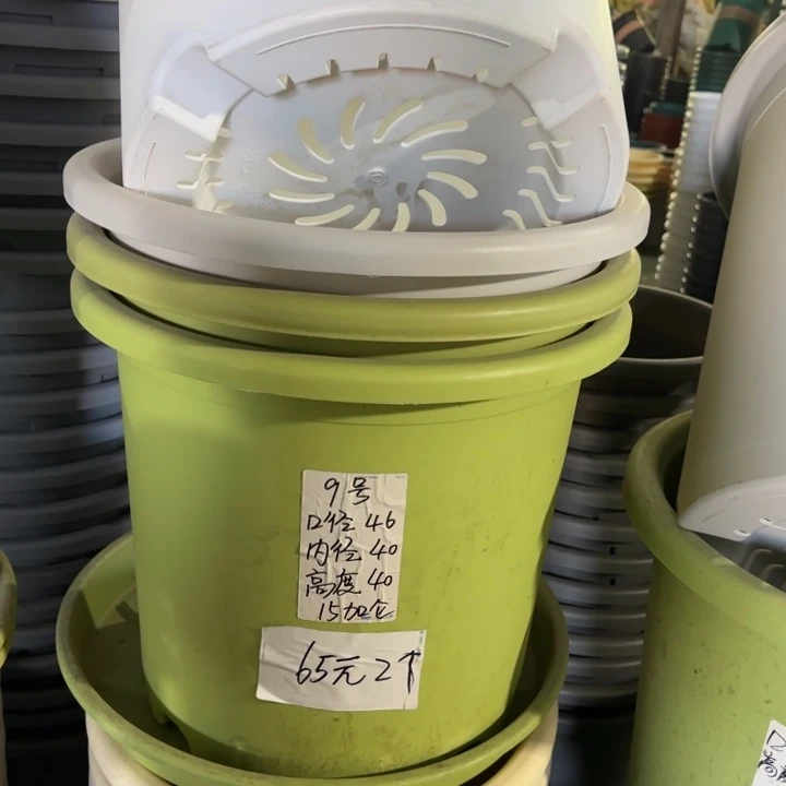 微瑕9#口径46带托果绿3套