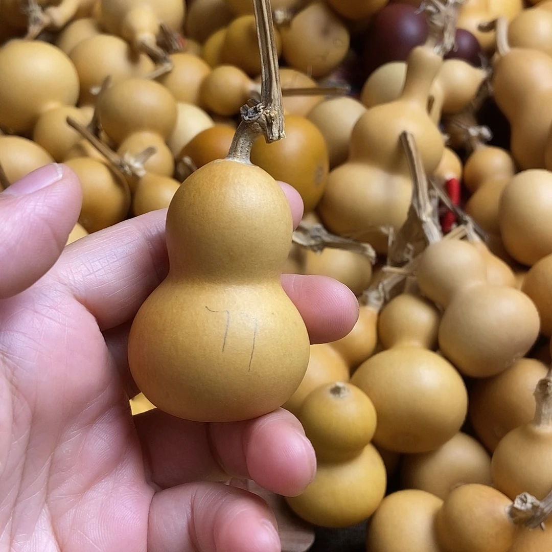 文玩葫芦 非完美主义者 慎拍77