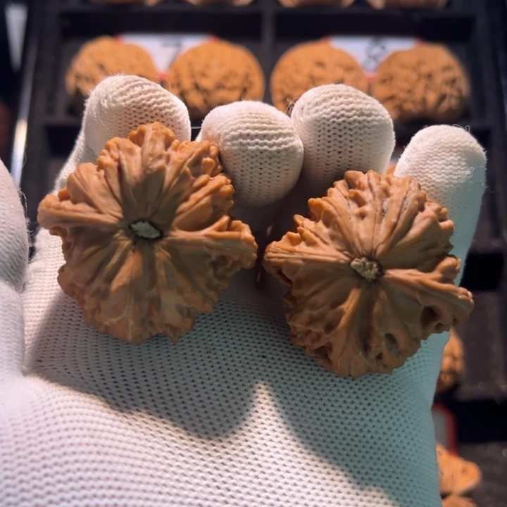 明***风桃核吊坠05秦皇岛山地果全品