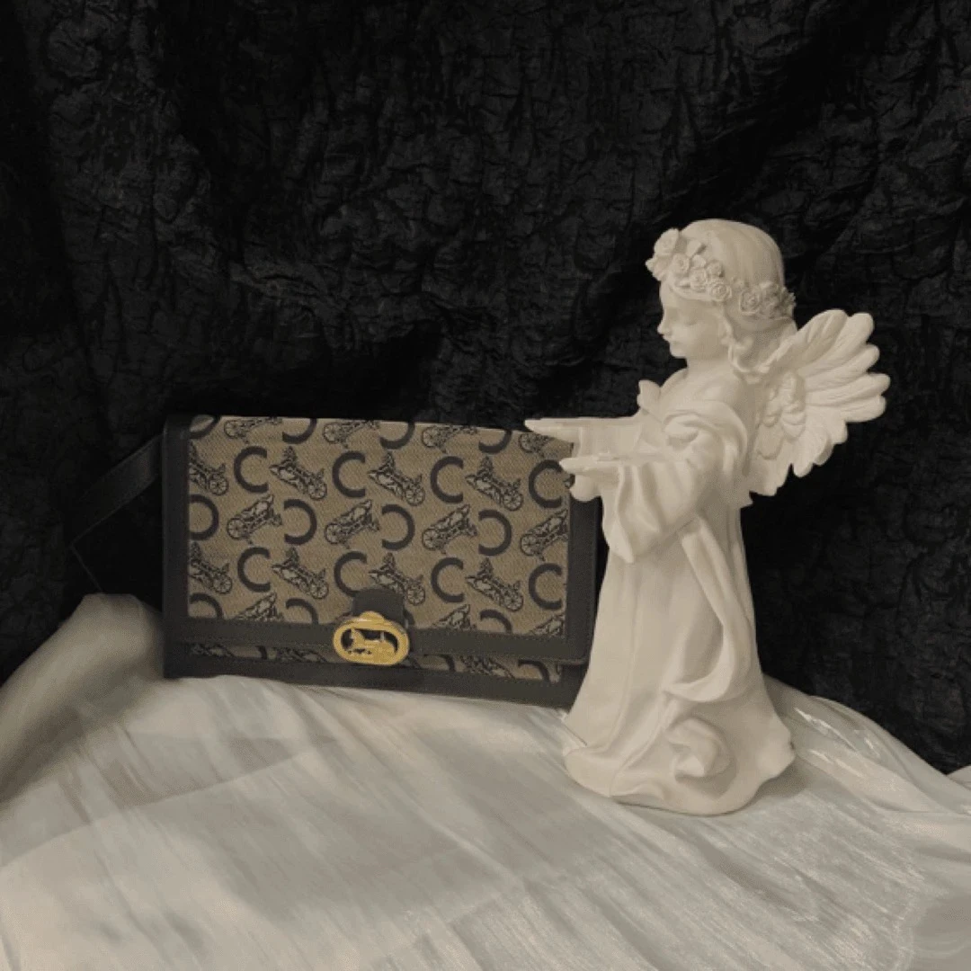 95新 Celine/思琳 大喜/思琳马车老花斜挎包