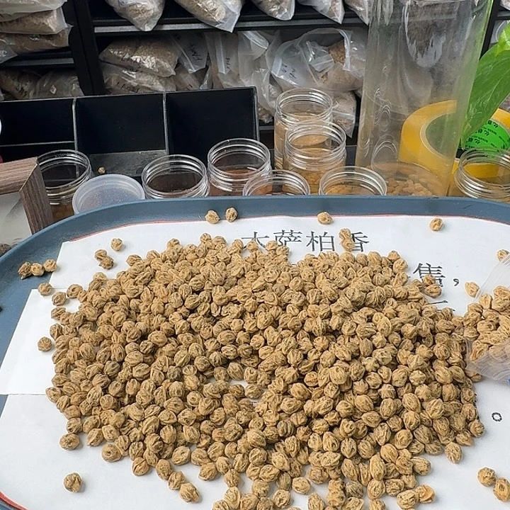 随***心柏香籽/百香籽吊坠200克7.5+XB115