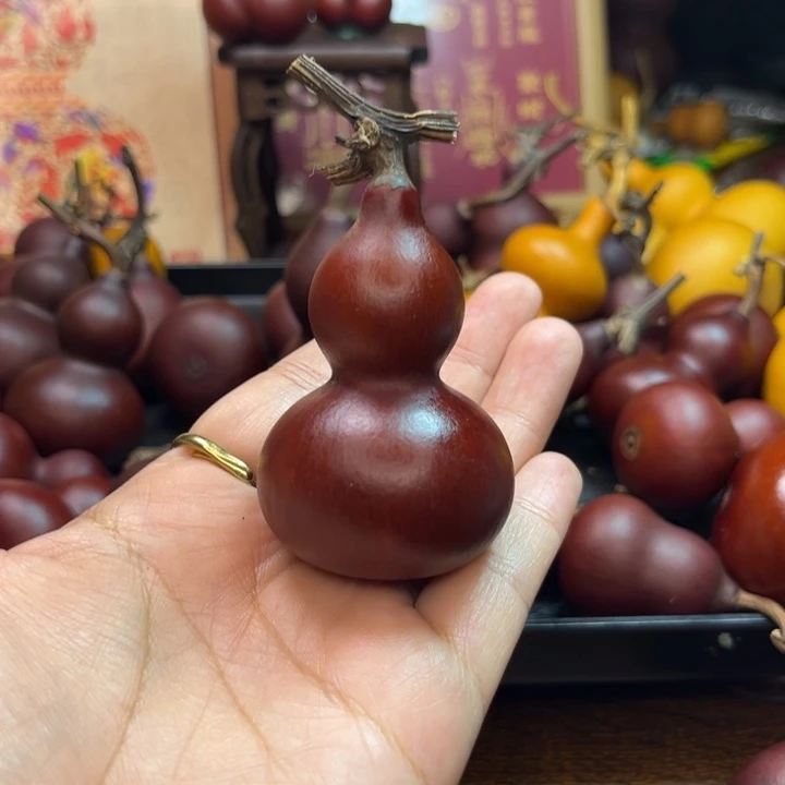 家*你好9555865669