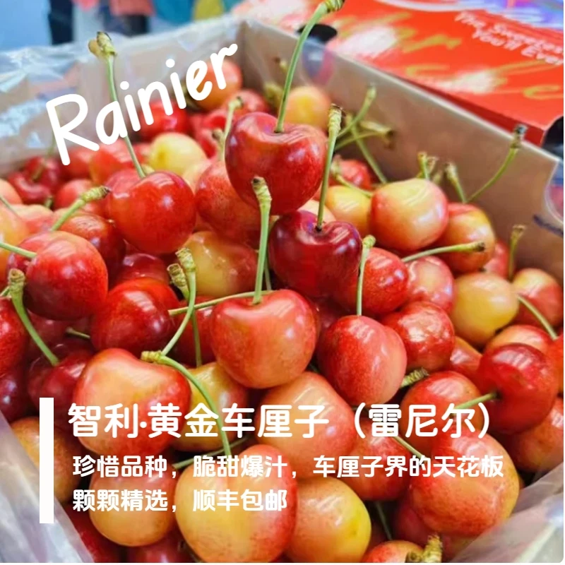 【5J高品质黄车次日达】河马黄车4.4斤智利空运雷尼尔黄金车厘子内附果径卡雷尼尔樱桃智利共和国