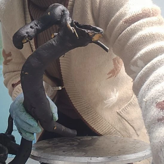 藤破**蝶一个一个一个一个