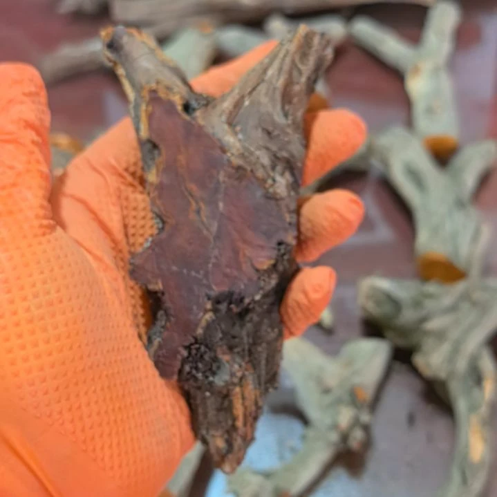J***P火琉璃毛料毛料毛料