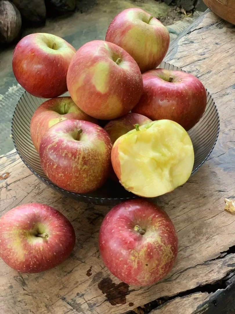 【篱笆优选】藏原红丑苹果小时候的味道果肉细嫩无渣风味十足