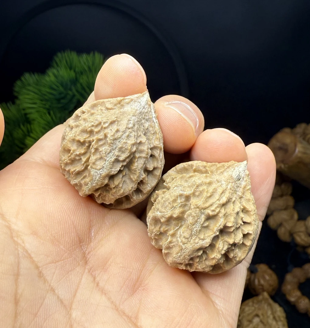 精品小手捻一对