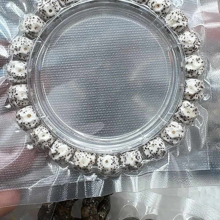 星月菩提手串219卓越白星月菩提无相10单圈