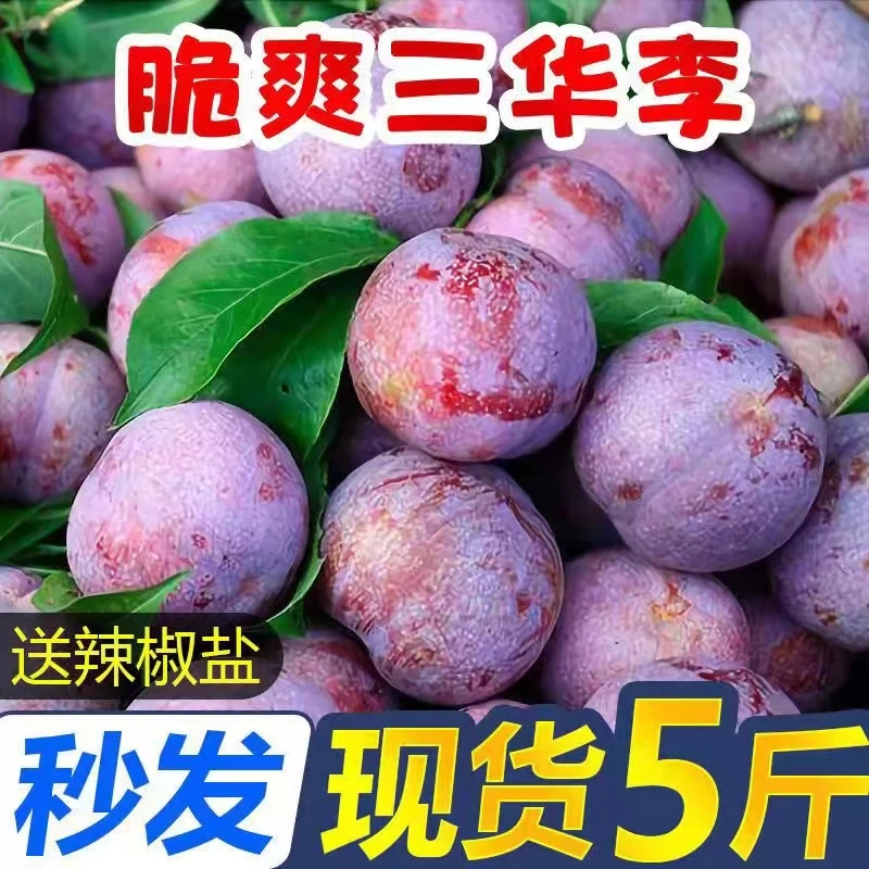 三华李正宗广西现摘红心李子当季新鲜酸甜爽口孕妇水果