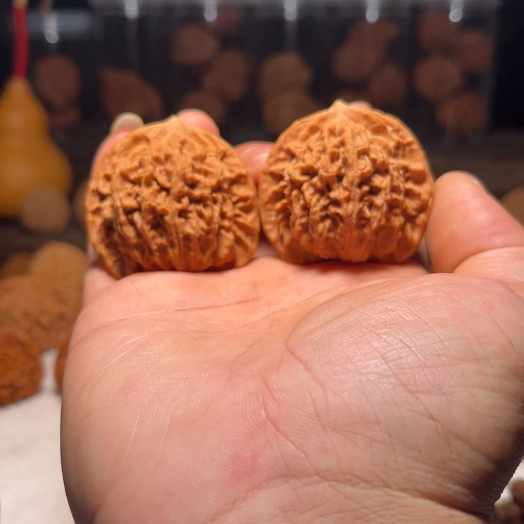 文玩核桃吊坠老树盘龙纹