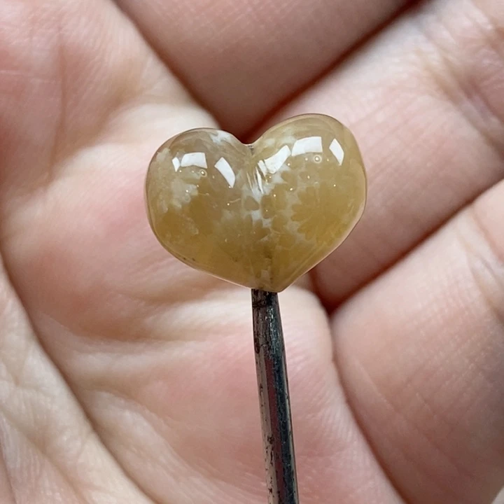 颈饰未镶嵌硅化珊瑚（珊瑚玉）小