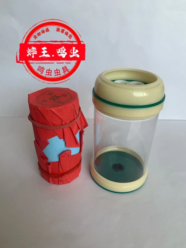 精品徐国强大程大铁皮，叫声十足，蝈蝈爱好者首选