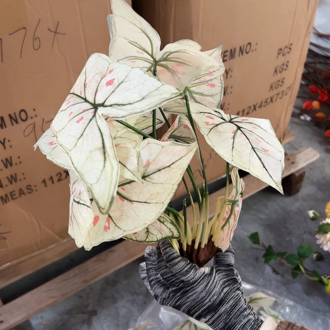 抖音直播瑕疵两个