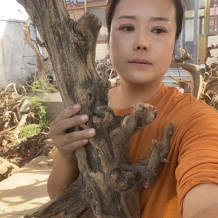 柏木（崖柏）修****店我也不知道