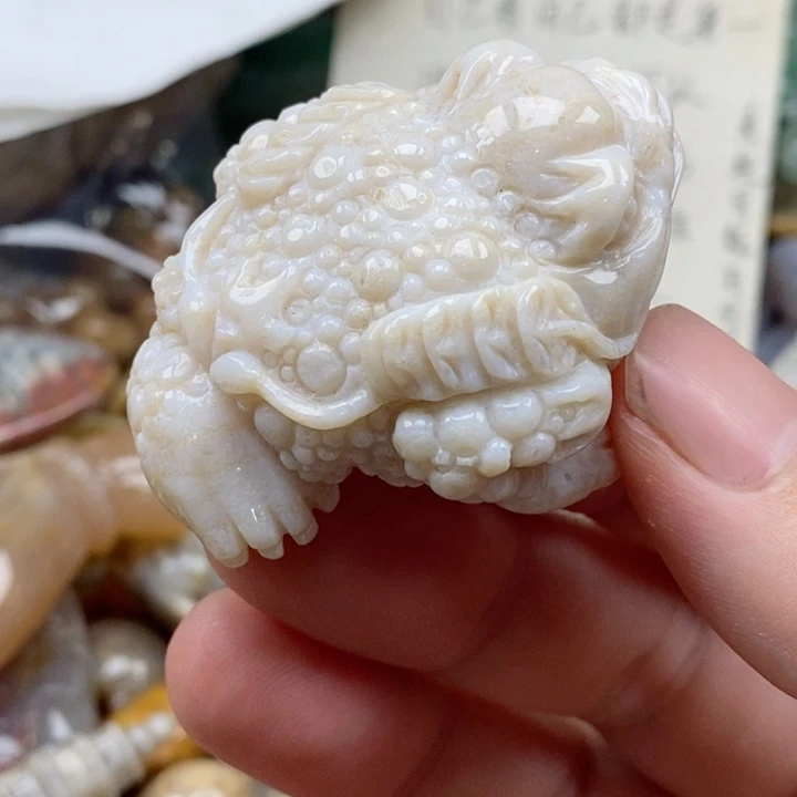 硅化珊瑚（珊瑚玉）未镶嵌颈饰