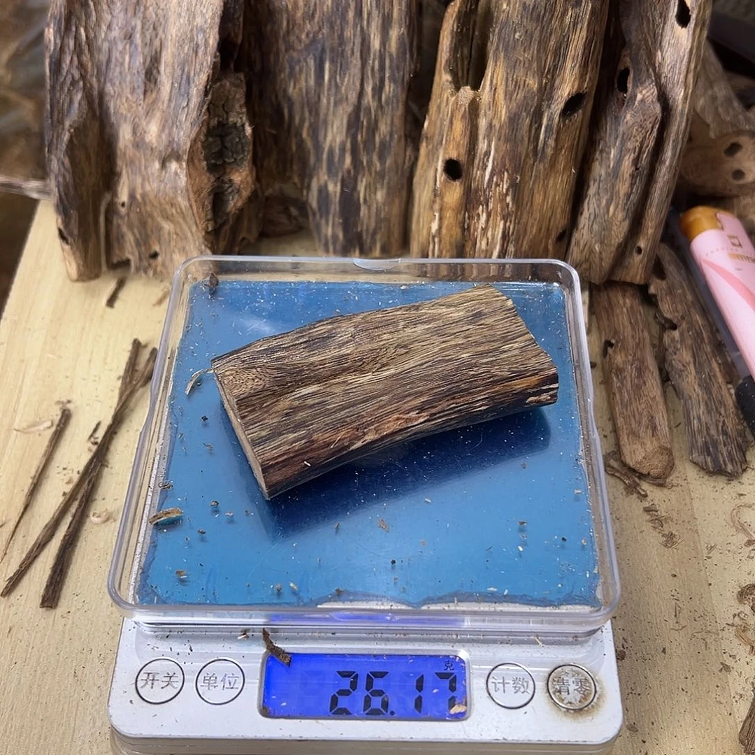 香料绿奇楠虫漏26克乌身