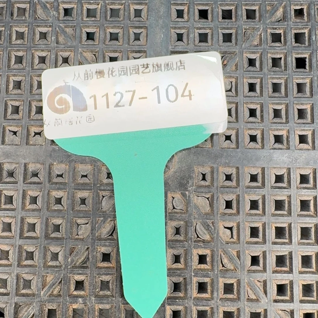 从前慢多肉精选编号1127.104