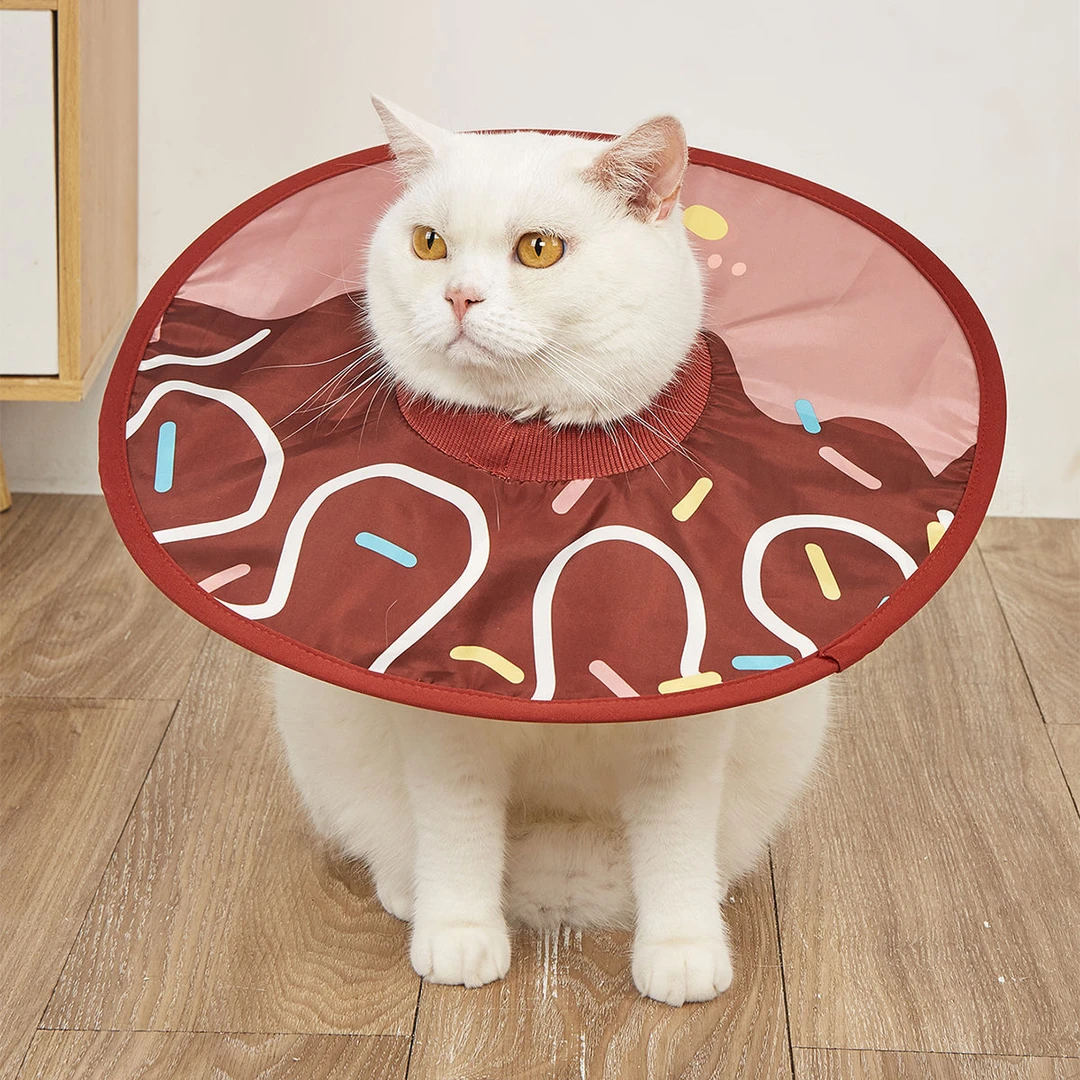 宠物轻薄防水伊丽莎白圈猫咪防舔头套中小型狗犬绝育防抓项圈Q