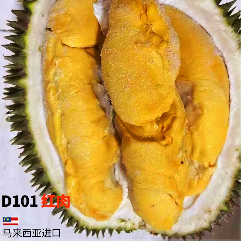 马来西亚树熟榴莲D101红肉液氮整粒果3斤-10斤顺丰包邮广东发货