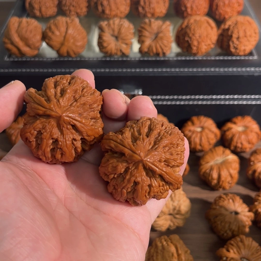 核桃手串/手链边肚48全品粗筋 克重70