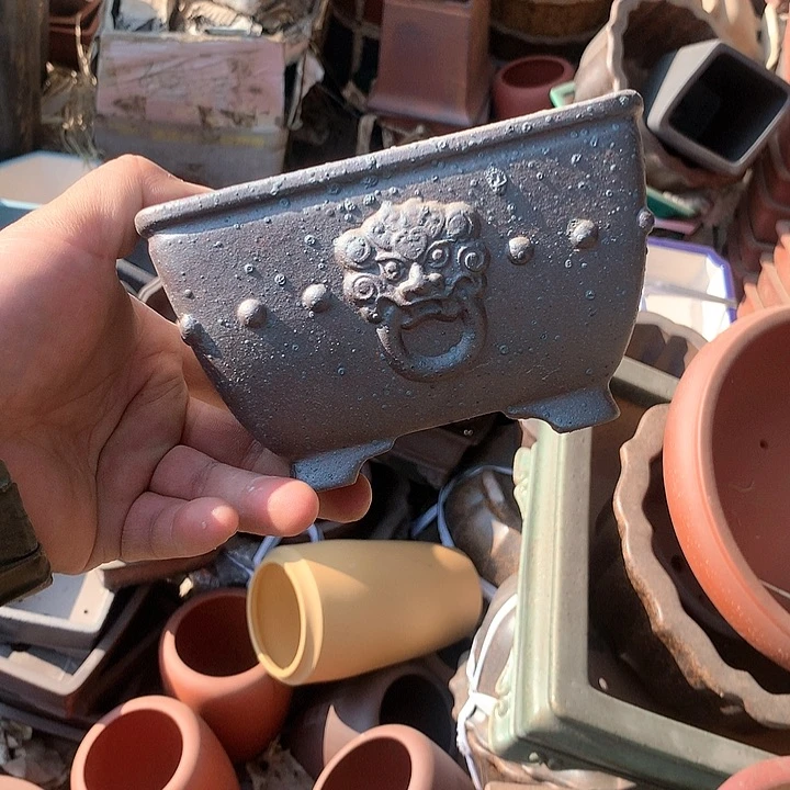 紫砂哈哈真的是太给力太