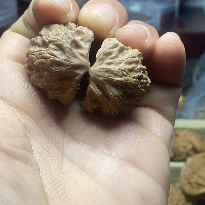 明***卡吊坠桃核白蛇骨蛇头打底修尖