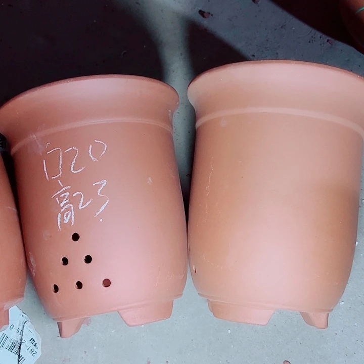 红陶紫砂紫砂现在