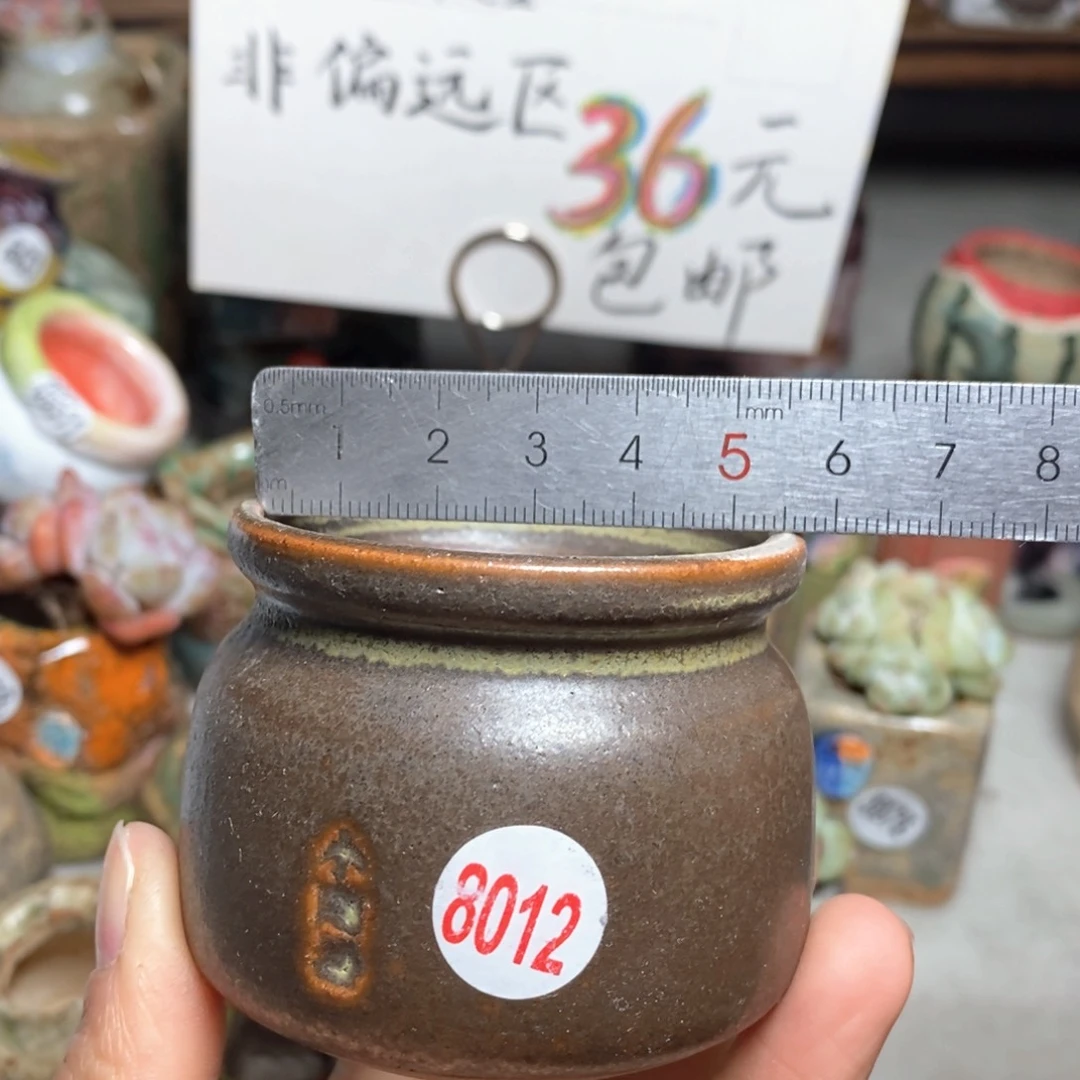 花盆拍5个送一个小礼物