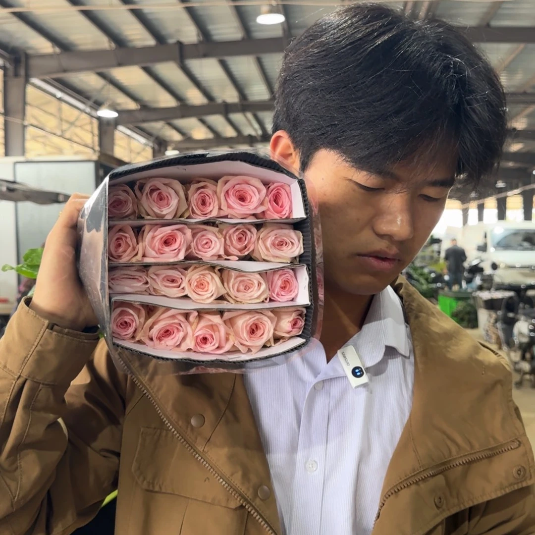 粉荔枝8扎包邮秒杀