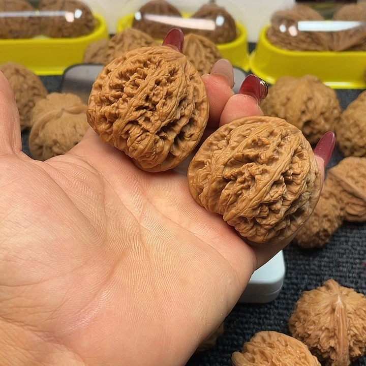 大叶紫檀（黑酸枝木类）文玩核桃48全品大粗筋