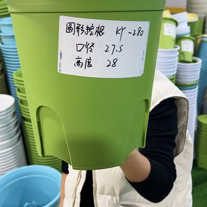 正品圆控口27.5高28果绿无托5只