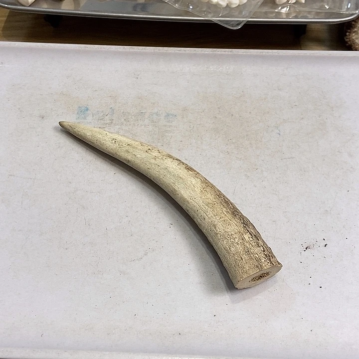 中国大陆鹿角盘玩手把件