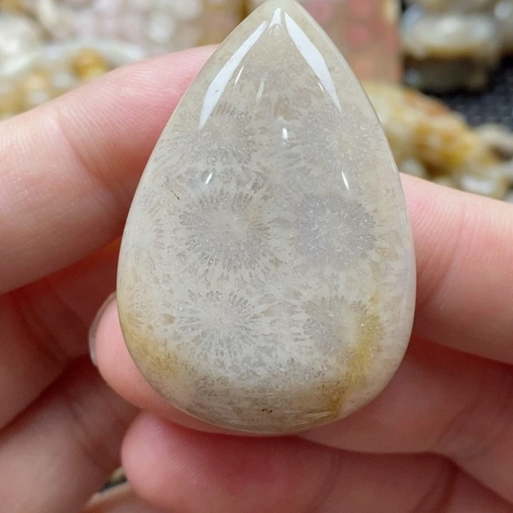 硅化珊瑚（珊瑚玉）颈饰未镶嵌