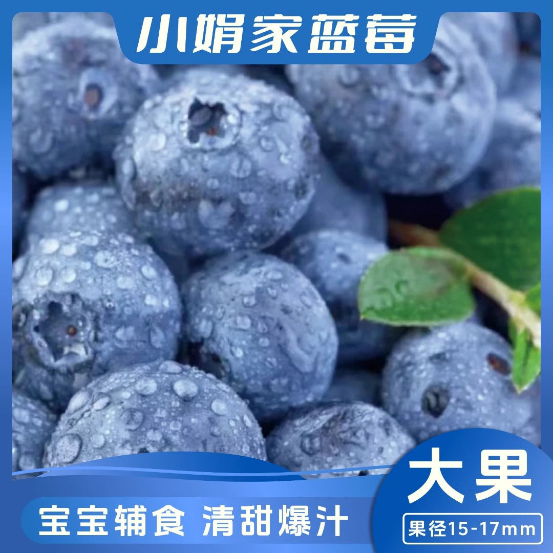 【头茬大果】花香蓝莓15-17mm 现摘现发 100g/盒 *12盒 顺丰发货