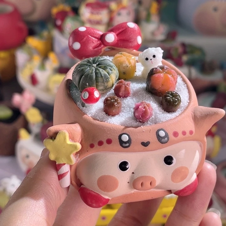 佳**呀057手工盆星兜锦组合连盆带土包邮