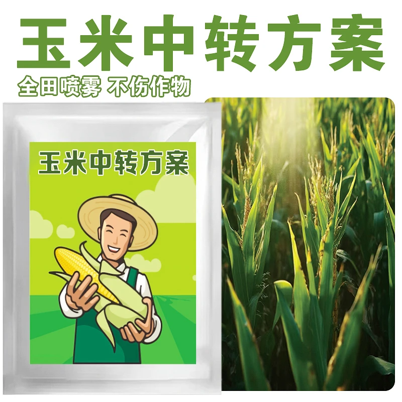 田地可用正品保障玉米专用高效复合剂