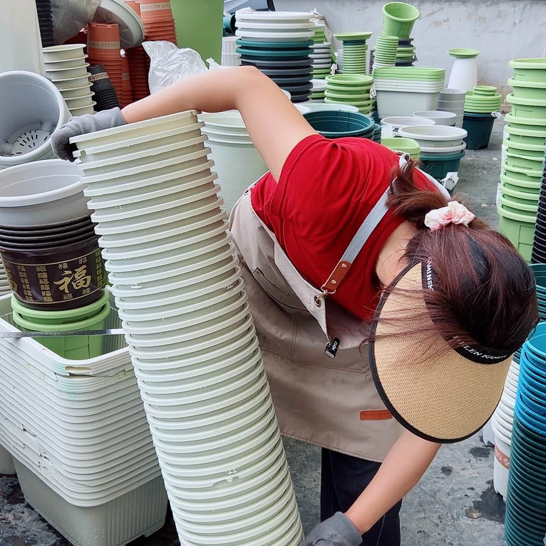 瑕疵3加仑米白色10个无托