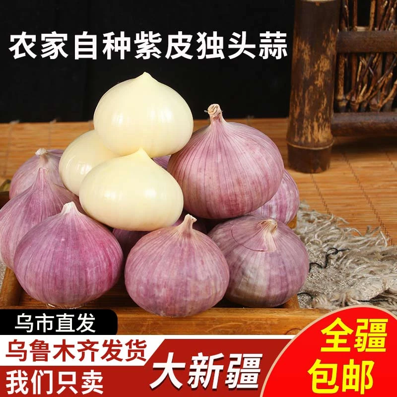 【楠楠专属】紫皮独头蒜新鲜干蒜大蒜头珍珠独头蒜辣蒜5斤新疆包邮