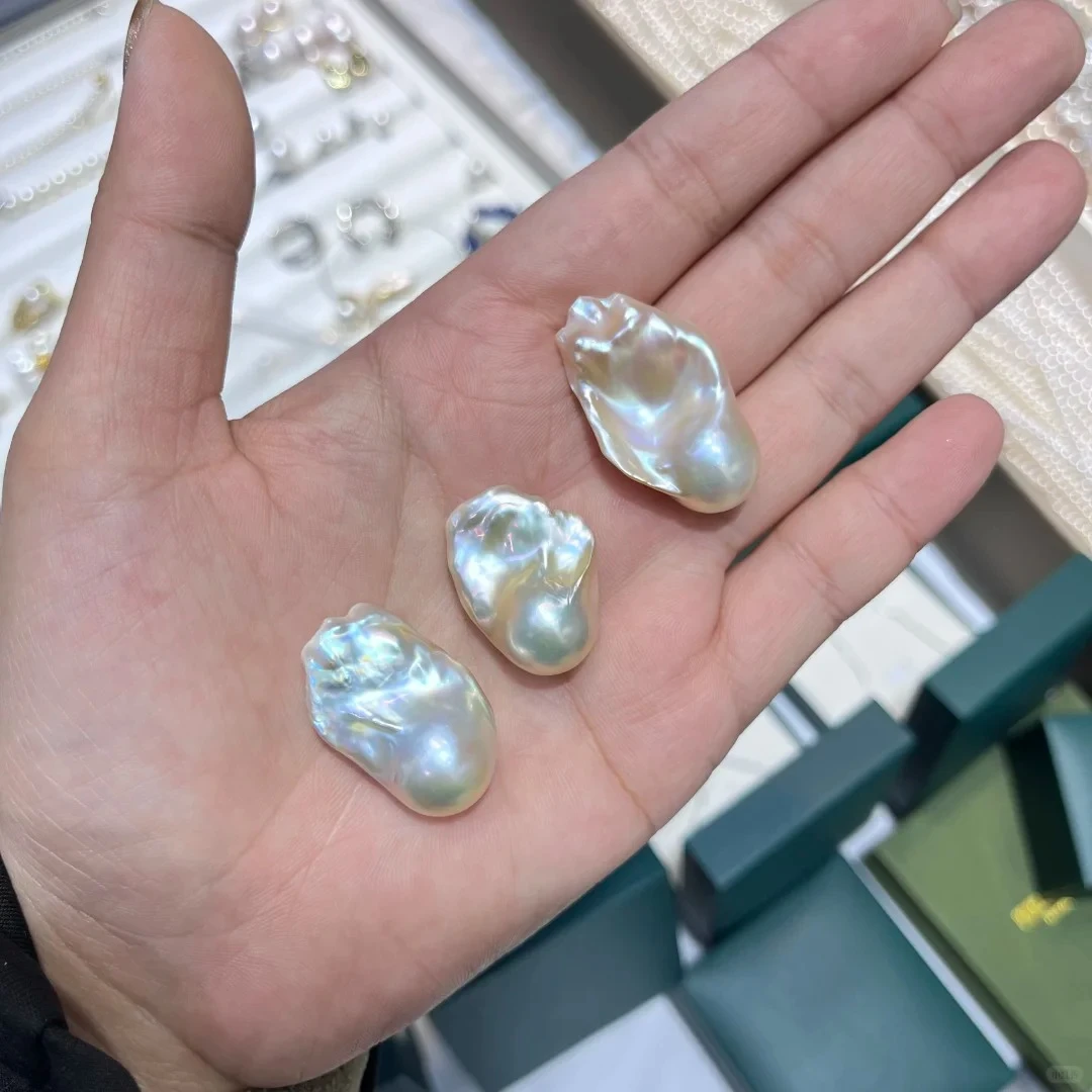 白色 花瓣（活体开蚌不退不换）