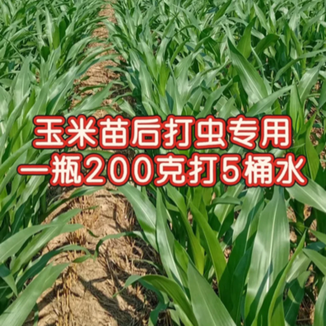 玉米苗后打虫专用11.6%甲维录虫苯助剂