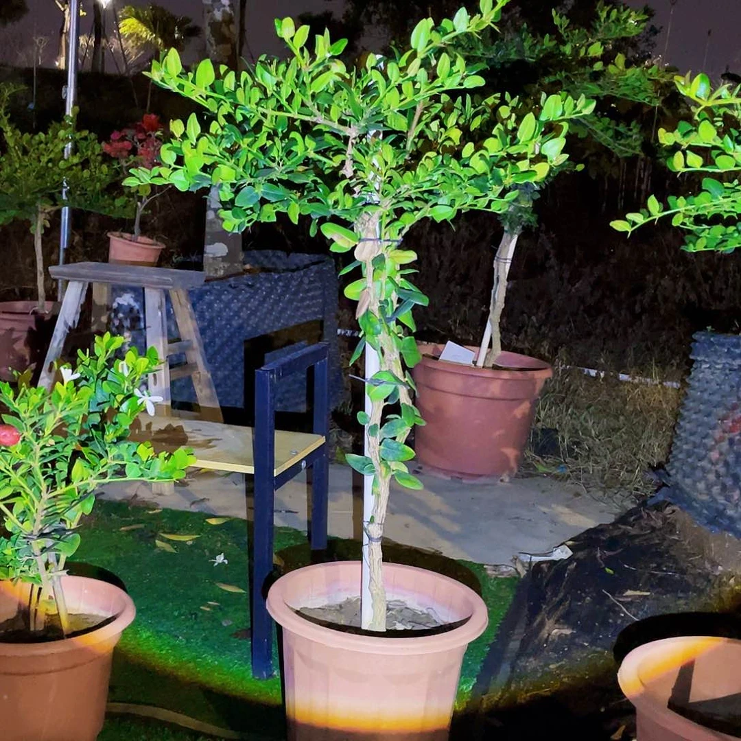 完全开放2222点多才到的学校啊哈哈啊哈哈哈哈哈