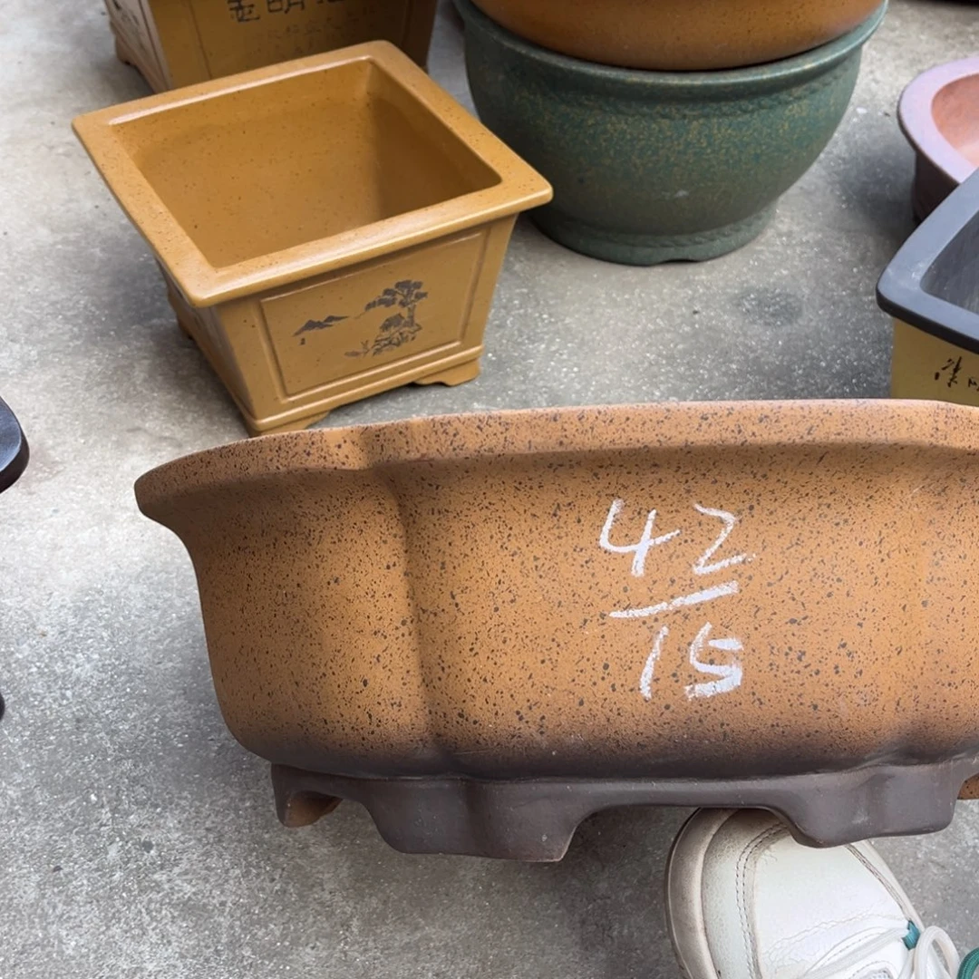 紫砂花盆盆景艺术