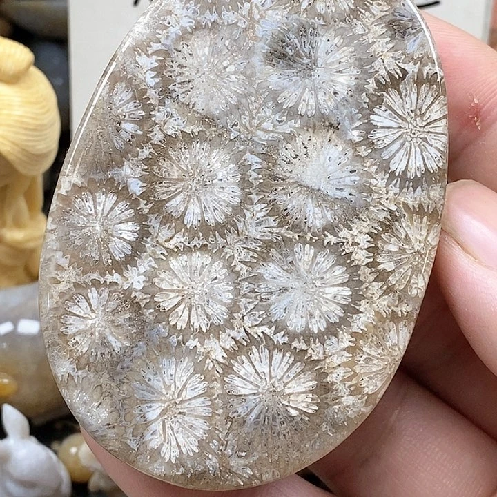 颈饰未镶嵌硅化珊瑚（珊瑚玉）